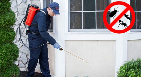 Kuşadası Tahtakurusu İlaçlama böcek ilaçlama ve haşere kontrolü — ilaclama-tr.com